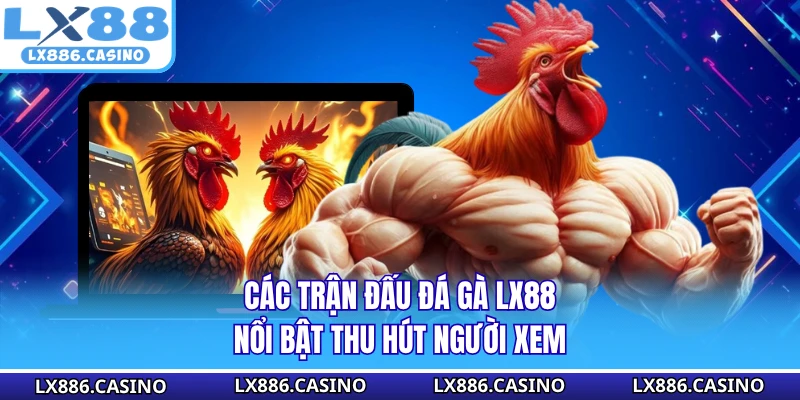 Các trận đấu đá gà LX88 nổi bật thu hút người xem