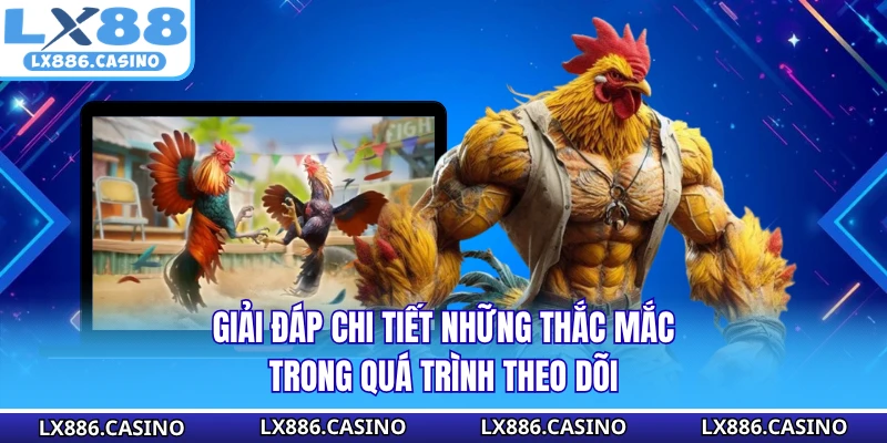 Giải đáp chi tiết những thắc mắc trong quá trình theo dõi